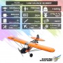 DANCING WINGS SAVAGE BOBBER ARF 1M INC MOTOR ESC 6 SERVOS